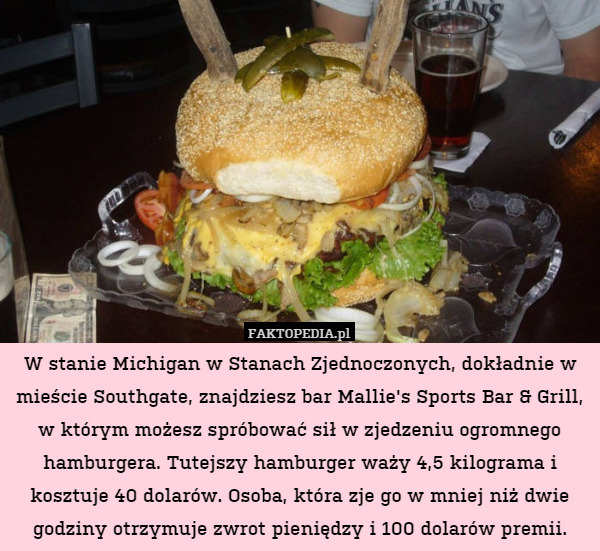 W stanie Michigan w Stanach Zjednoczonych, dokładnie w mieście Southgate, znajdziesz bar Mallie's Sports Bar & Grill, w którym możesz spróbować sił w zjedzeniu ogromnego hamburgera. Tutejszy hamburger waży 4,5 kilograma i kosztuje 40 dolarów. Osoba, która zje go w mniej niż dwie godziny otrzymuje zwrot pieniędzy i 100 dolarów premii. 