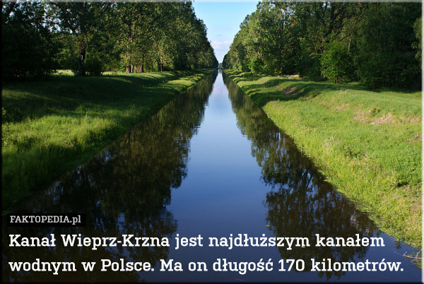 Kanał Wieprz-Krzna jest najdłuższym kanałem wodnym w Polsce. Ma on długość 170 kilometrów. 