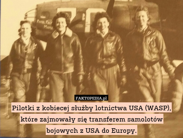 Pilotki z kobiecej służby lotnictwa USA (WASP), które zajmowały się transferem samolotów bojowych z USA do Europy. 