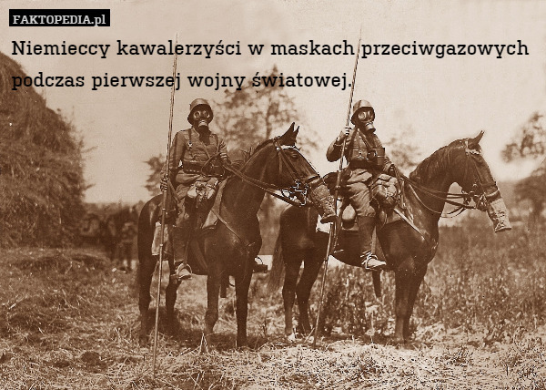 Niemieccy kawalerzyści w maskach przeciwgazowych podczas pierwszej wojny światowej. 