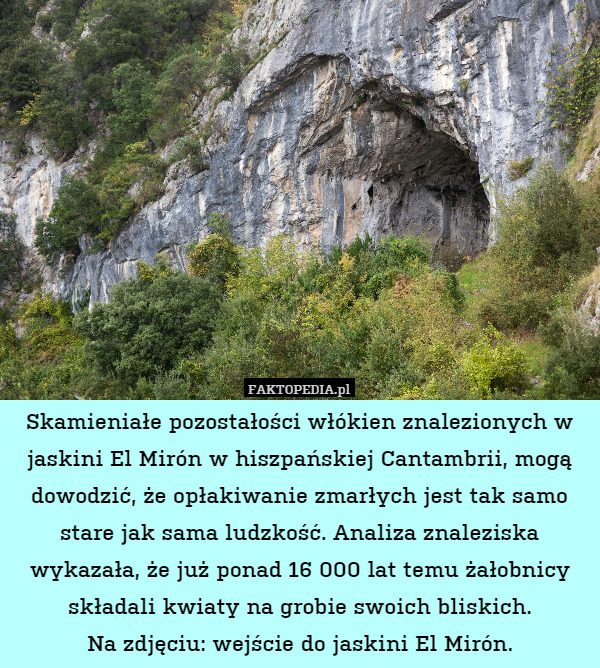 Skamieniałe pozostałości włókien znalezionych w jaskini El Mirón w hiszpańskiej Cantambrii, mogą dowodzić, że opłakiwanie zmarłych jest tak samo stare jak sama ludzkość. Analiza znaleziska wykazała, że już ponad 16 000 lat temu żałobnicy składali kwiaty na grobie swoich bliskich.
Na zdjęciu: wejście do jaskini El Mirón. 