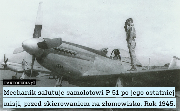 Mechanik salutuje samolotowi P-51 po jego ostatniej misji, przed skierowaniem na złomowisko. Rok 1945. 