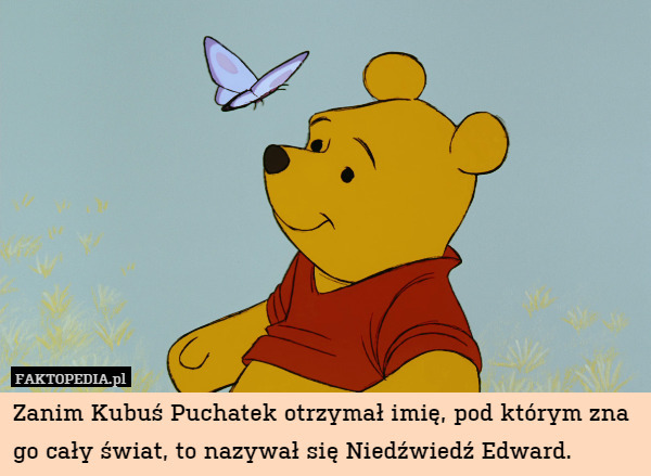Zanim Kubuś Puchatek otrzymał imię, pod którym zna go cały świat, to nazywał się Niedźwiedź Edward. 