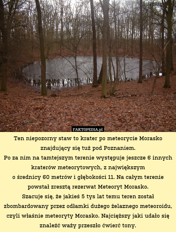 Ten niepozorny staw to krater po meteorycie Morasko znajdujący się tuż pod Poznaniem.
Po za nim na tamtejszym terenie występuje jeszcze 6 innych kraterów meteorytowych, z największym
o średnicy 60 metrów i głębokości 11. Na całym terenie powstał zresztą rezerwat Meteoryt Morasko.
Szacuje się, że jakieś 5 tys lat temu teren został zbombardowany przez odłamki dużego żelaznego meteoroidu, czyli właśnie meteoryty Morasko. Najcięższy jaki udało się znaleźć waży przeszło ćwierć tony. 