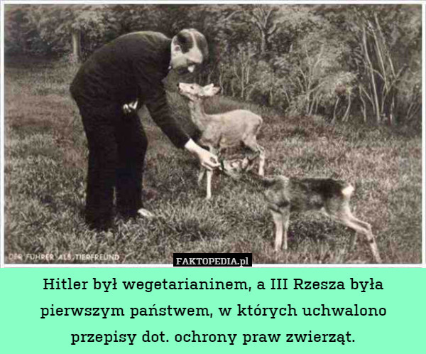 Hitler był wegetarianinem, a III Rzesza była pierwszym państwem, w których uchwalono przepisy dot. ochrony praw zwierząt. 
