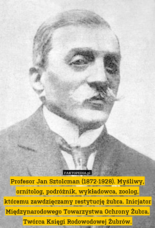 Profesor Jan Sztolcman (1872-1928). Myśliwy, ornitolog, podróżnik, wykładowca, zoolog, któremu zawdzięczamy restytucję żubra. Inicjator Międzynarodowego Towarzystwa Ochrony Żubra. Twórca Księgi Rodowodowej Żubrów. 