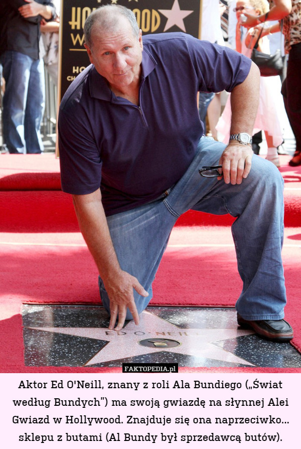 Aktor Ed O'Neill, znany z roli Ala Bundiego („Świat według Bundych”) ma swoją gwiazdę na słynnej Alei Gwiazd w Hollywood. Znajduje się ona naprzeciwko... sklepu z butami (Al Bundy był sprzedawcą butów). 