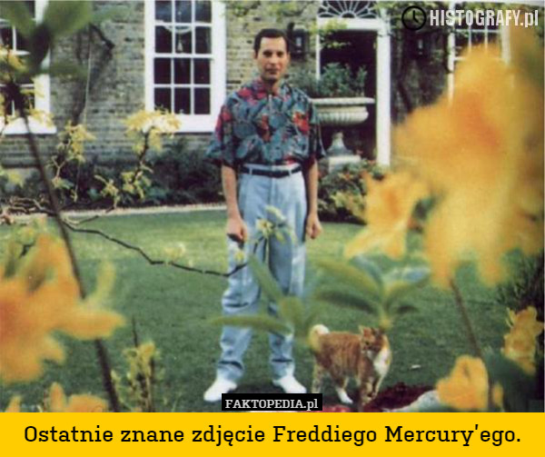 Ostatnie znane zdjęcie Freddiego Mercury’ego. 