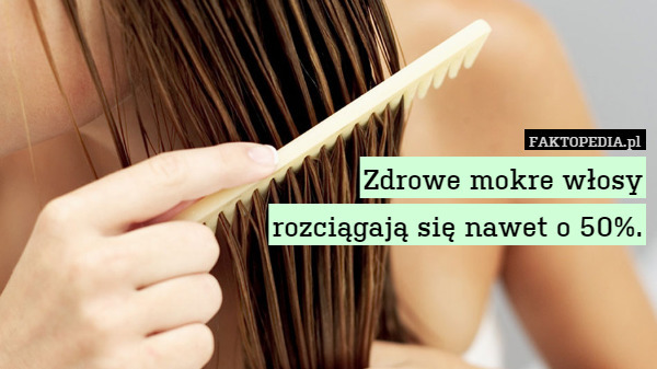 Zdrowe mokre włosy
rozciągają się nawet o 50%. 