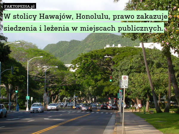 W stolicy Hawajów, Honolulu, prawo zakazuje siedzenia i leżenia w miejscach publicznych. 