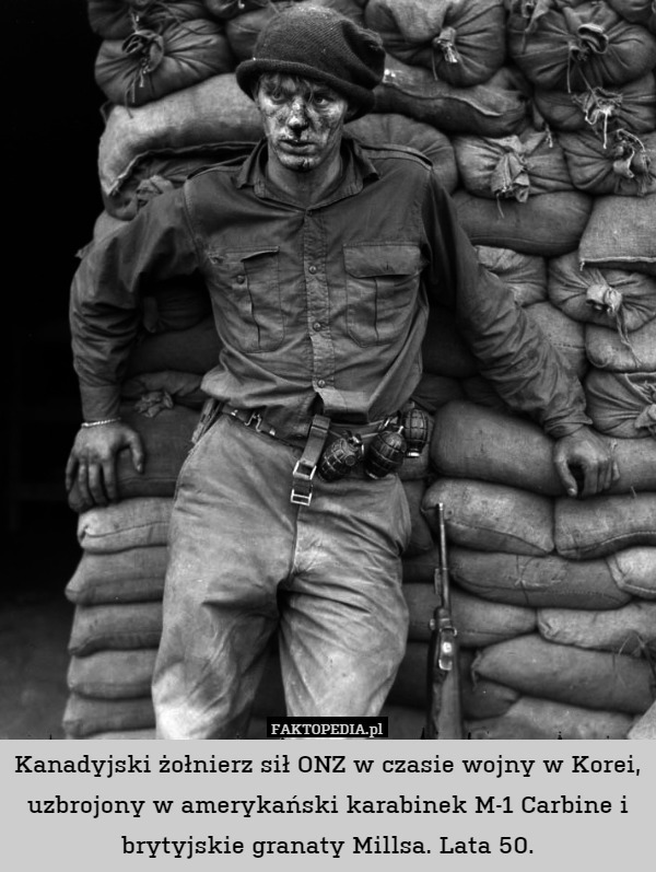 Kanadyjski żołnierz sił ONZ w czasie wojny w Korei, uzbrojony w amerykański karabinek M-1 Carbine i brytyjskie granaty Millsa. Lata 50. 