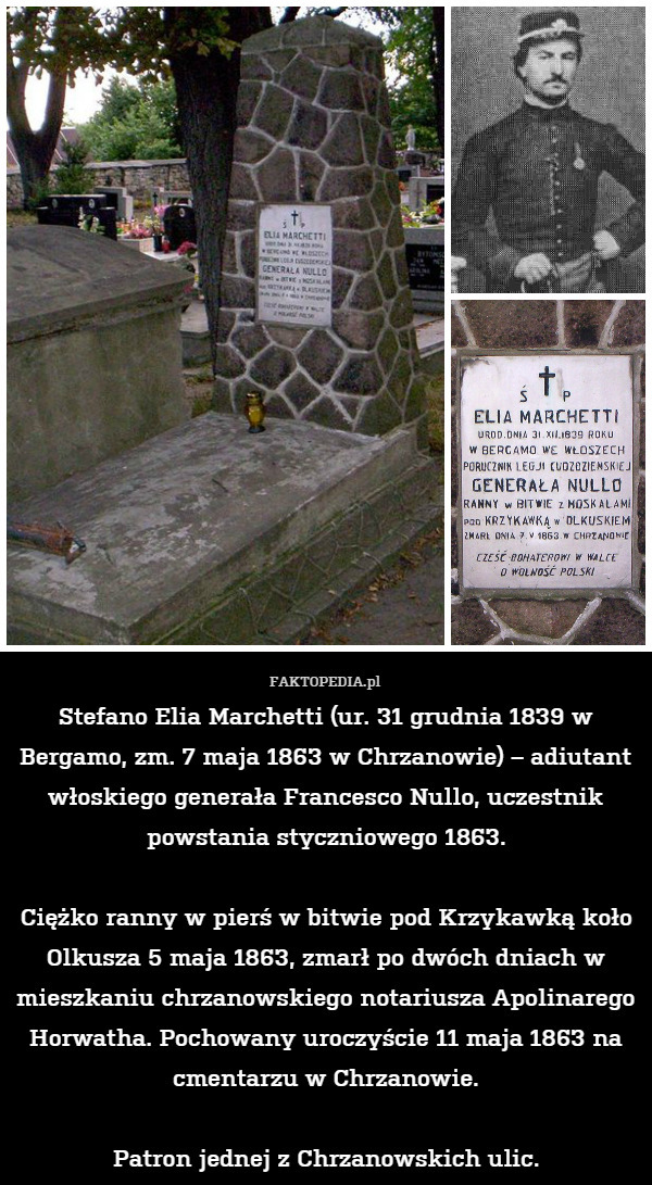 Stefano Elia Marchetti (ur. 31 grudnia 1839 w Bergamo, zm. 7 maja 1863 w Chrzanowie) – adiutant włoskiego generała Francesco Nullo, uczestnik powstania styczniowego 1863.

Ciężko ranny w pierś w bitwie pod Krzykawką koło Olkusza 5 maja 1863, zmarł po dwóch dniach w mieszkaniu chrzanowskiego notariusza Apolinarego Horwatha. Pochowany uroczyście 11 maja 1863 na cmentarzu w Chrzanowie.

Patron jednej z Chrzanowskich ulic. 