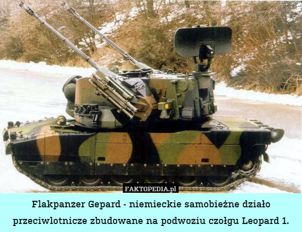 Flakpanzer Gepard - niemieckie samobieżne działo przeciwlotnicze zbudowane na podwoziu czołgu Leopard 1. 