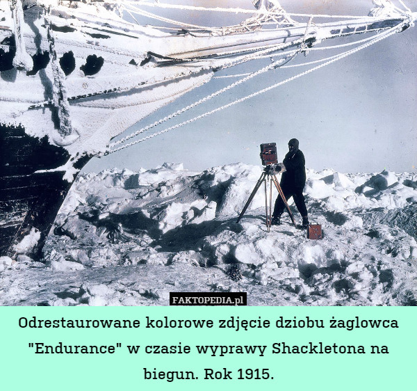 Odrestaurowane kolorowe zdjęcie dziobu żaglowca "Endurance" w czasie wyprawy Shackletona na biegun. Rok 1915. 