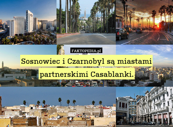 Sosnowiec i Czarnobyl są miastami
partnerskimi Casablanki. 