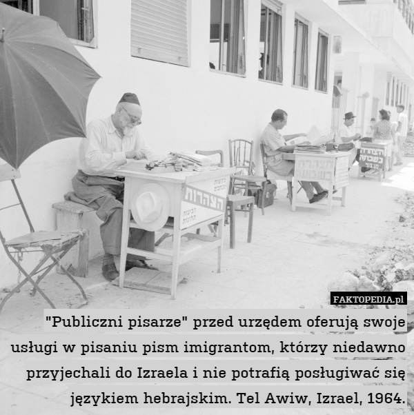 "Publiczni pisarze" przed urzędem oferują swoje usługi w pisaniu pism imigrantom, którzy niedawno przyjechali do Izraela i nie potrafią posługiwać się językiem hebrajskim. Tel Awiw, Izrael, 1964. 