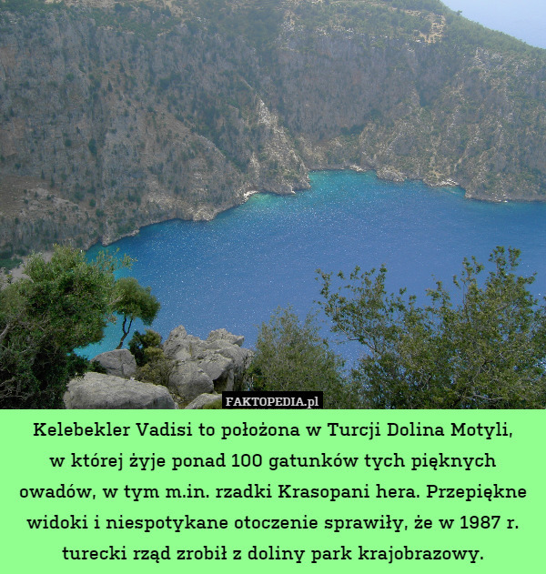 Kelebekler Vadisi to położona w Turcji Dolina Motyli,
w której żyje ponad 100 gatunków tych pięknych owadów, w tym m.in. rzadki Krasopani hera. Przepiękne widoki i niespotykane otoczenie sprawiły, że w 1987 r. turecki rząd zrobił z doliny park krajobrazowy. 
