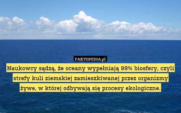 Naukowcy sądzą, że oceany wypełniają 99% biosfery, czyli strefy kuli ziemskiej zamieszkiwanej przez organizmy
żywe, w której odbywają się procesy ekologiczne. 