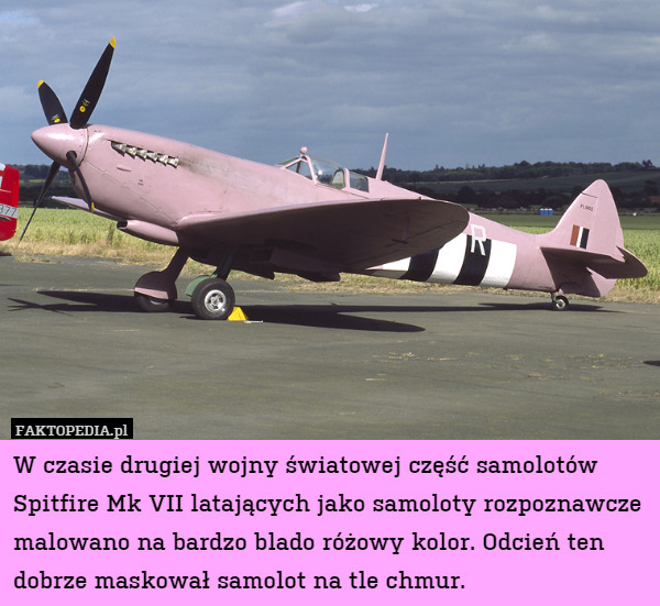W czasie drugiej wojny światowej część samolotów Spitfire Mk VII latających jako samoloty rozpoznawcze malowano na bardzo blado różowy kolor. Odcień ten dobrze maskował samolot na tle chmur. 