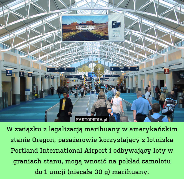 W związku z legalizacją marihuany w amerykańskim stanie Oregon, pasażerowie korzystający z lotniska Portland International Airport i odbywający loty w graniach stanu, mogą wnosić na pokład samolotu
do 1 uncji (niecałe 30 g) marihuany. 