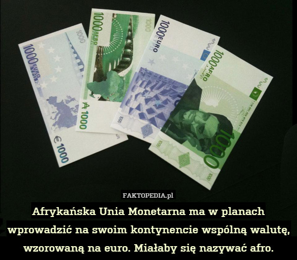 Afrykańska Unia Monetarna ma w planach wprowadzić na swoim kontynencie wspólną walutę, wzorowaną na euro. Miałaby się nazywać afro. 