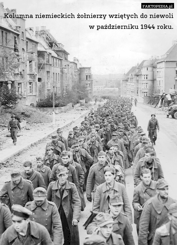 Kolumna niemieckich żołnierzy wziętych do niewoli w październiku 1944 roku. 