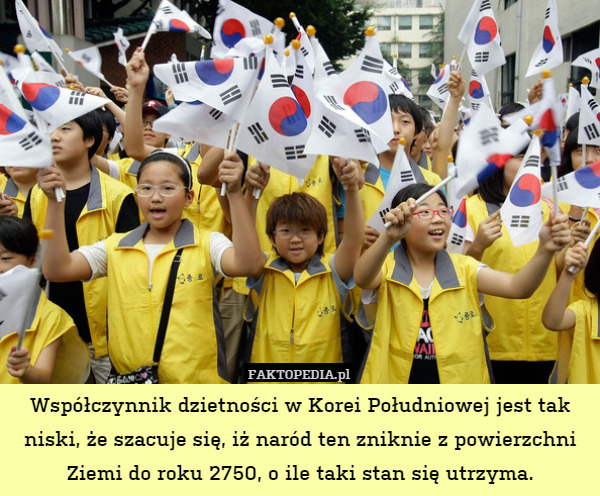 Współczynnik dzietności w Korei Południowej jest tak niski, że szacuje się, iż naród ten zniknie z powierzchni Ziemi do roku 2750, o ile taki stan się utrzyma. 