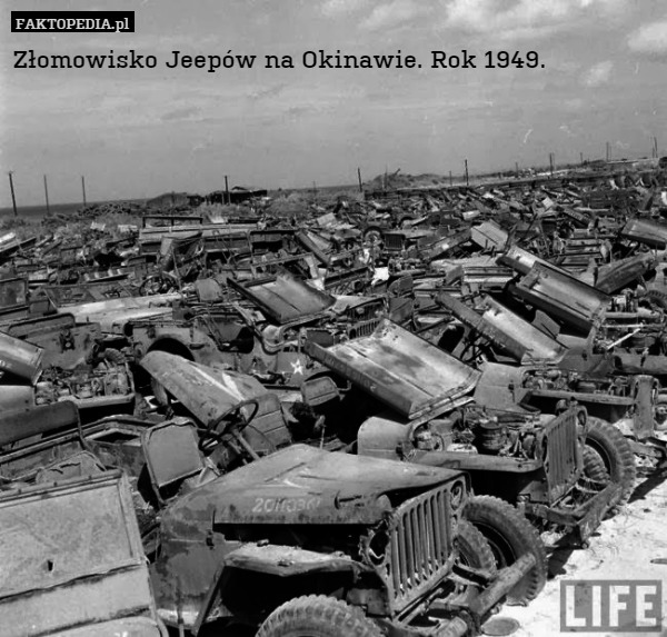 Złomowisko Jeepów na Okinawie. Rok 1949. 