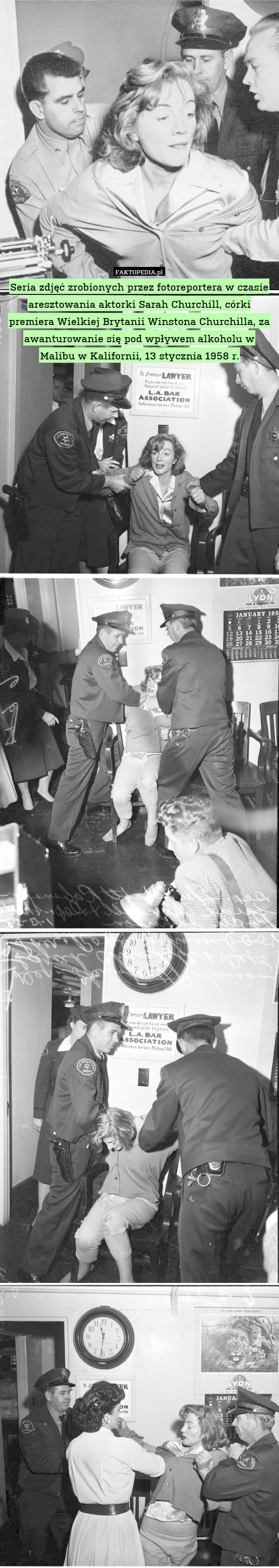 Seria zdjęć zrobionych przez fotoreportera w czasie aresztowania aktorki Sarah Churchill, córki premiera Wielkiej Brytanii Winstona Churchilla, za awanturowanie się pod wpływem alkoholu w Malibu w Kalifornii, 13 stycznia 1958 r. 