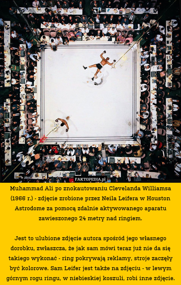 Muhammad Ali po znokautowaniu Clevelanda Williamsa (1966 r.) - zdjęcie zrobione przez Neila Leifera w Houston Astrodome za pomocą zdalnie aktywowanego aparatu zawieszonego 24 metry nad ringiem.

Jest to ulubione zdjęcie autora spośród jego własnego dorobku, zwłaszcza, że jak sam mówi teraz już nie da się takiego wykonać - ring pokrywają reklamy, stroje zaczęły być kolorowe. Sam Leifer jest także na zdjęciu - w lewym górnym rogu ringu, w niebieskiej koszuli, robi inne zdjęcie. 
