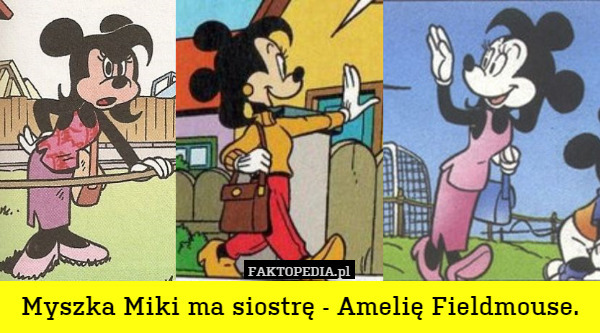 Myszka Miki ma siostrę - Amelię Fieldmouse. 