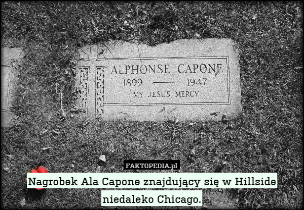 Nagrobek Ala Capone znajdujący się w Hillside niedaleko Chicago. 
