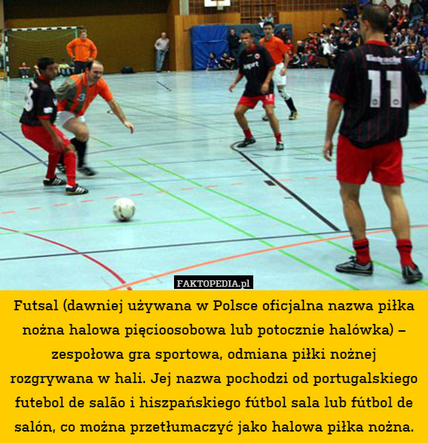 Futsal (dawniej używana w Polsce oficjalna nazwa piłka nożna halowa pięcioosobowa lub potocznie halówka) – zespołowa gra sportowa, odmiana piłki nożnej rozgrywana w hali. Jej nazwa pochodzi od portugalskiego futebol de salão i hiszpańskiego fútbol sala lub fútbol de salón, co można przetłumaczyć jako halowa piłka nożna. 