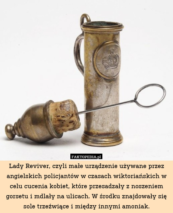 Lady Reviver, czyli małe urządzenie używane przez angielskich policjantów w czasach wiktoriańskich w celu cucenia kobiet, które przesadzały z noszeniem gorsetu i mdlały na ulicach. W środku znajdowały się sole trzeźwiące i między innymi amoniak. 