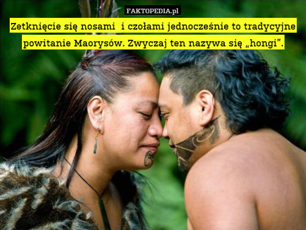 Zetknięcie się nosami  i czołami jednocześnie to tradycyjne powitanie Maorysów. Zwyczaj ten nazywa się „hongi”. 