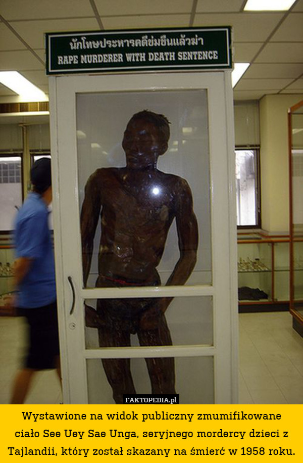 Wystawione na widok publiczny zmumifikowane
ciało See Uey Sae Unga, seryjnego mordercy dzieci z Tajlandii, który został skazany na śmierć w 1958 roku. 