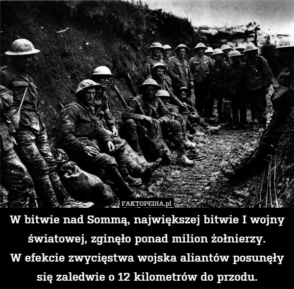 W bitwie nad Sommą, największej bitwie I wojny światowej, zginęło ponad milion żołnierzy.
W efekcie zwycięstwa wojska aliantów posunęły się zaledwie o 12 kilometrów do przodu. 