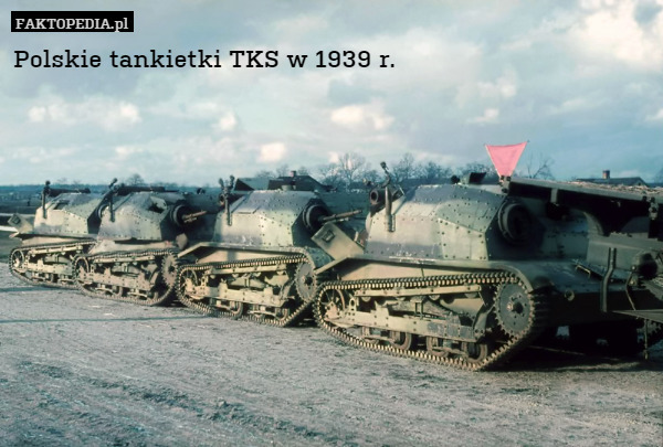 Polskie tankietki TKS w 1939 r. 