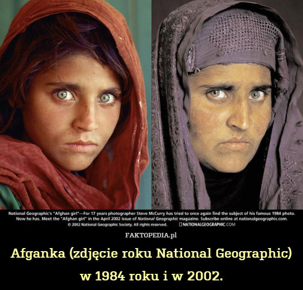 Afganka (zdjęcie roku National Geographic)
w 1984 roku i w 2002. 