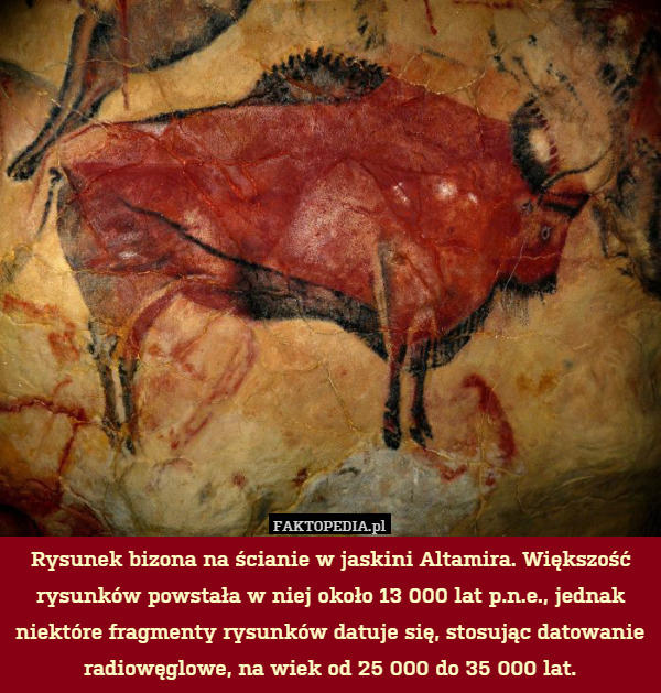 Rysunek bizona na ścianie w jaskini Altamira. Większość rysunków powstała w niej około 13 000 lat p.n.e., jednak niektóre fragmenty rysunków datuje się, stosując datowanie radiowęglowe, na wiek od 25 000 do 35 000 lat. 