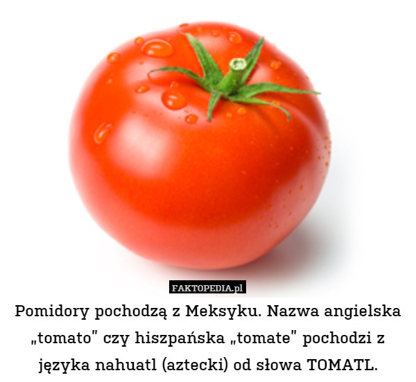 Pomidory pochodzą z Meksyku. Nazwa angielska „tomato” czy hiszpańska „tomate” pochodzi z języka nahuatl (aztecki) od słowa TOMATL. 