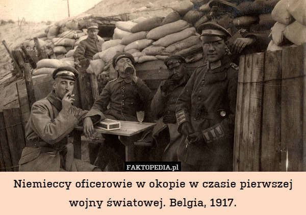 Niemieccy oficerowie w okopie w czasie pierwszej wojny światowej. Belgia, 1917. 