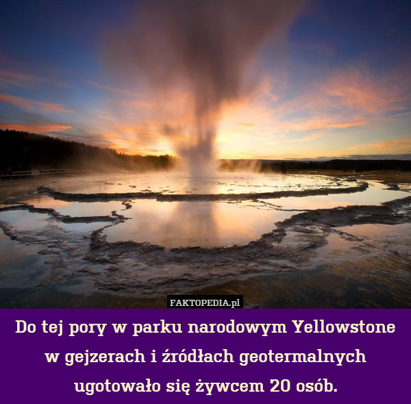 Do tej pory w parku narodowym Yellowstone w gejzerach i źródłach geotermalnych ugotowało się żywcem 20 osób. 