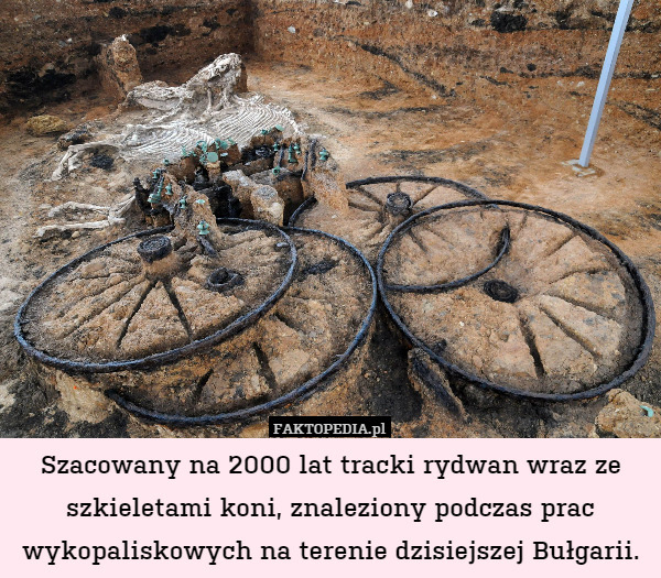 Szacowany na 2000 lat tracki rydwan wraz ze szkieletami koni, znaleziony podczas prac wykopaliskowych na terenie dzisiejszej Bułgarii. 