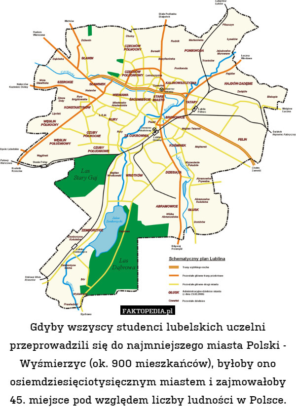 Gdyby wszyscy studenci lubelskich uczelni przeprowadzili się do najmniejszego miasta Polski - Wyśmierzyc (ok. 900 mieszkańców), byłoby ono osiemdziesięciotysięcznym miastem i zajmowałoby 45. miejsce pod względem liczby ludności w Polsce. 