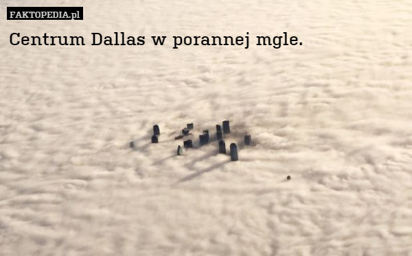 Centrum Dallas w porannej mgle. 