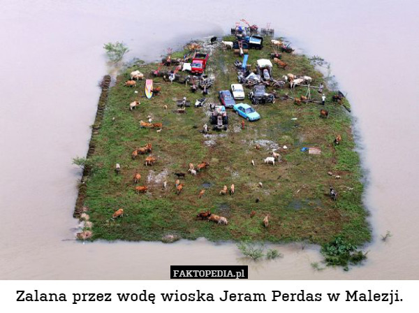 Zalana przez wodę wioska Jeram Perdas w Malezji. 