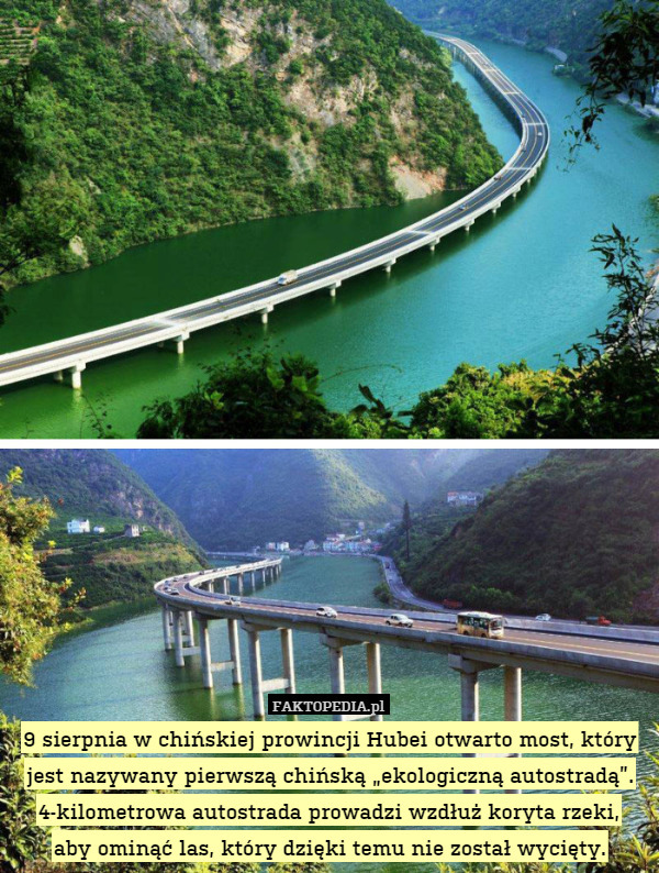 9 sierpnia w chińskiej prowincji Hubei otwarto most, który jest nazywany pierwszą chińską „ekologiczną autostradą”. 4-kilometrowa autostrada prowadzi wzdłuż koryta rzeki,
aby ominąć las, który dzięki temu nie został wycięty. 