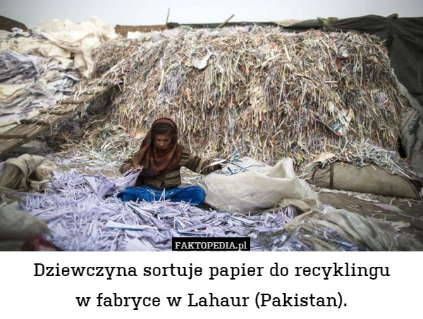 Dziewczyna sortuje papier do recyklingu
w fabryce w Lahaur (Pakistan). 