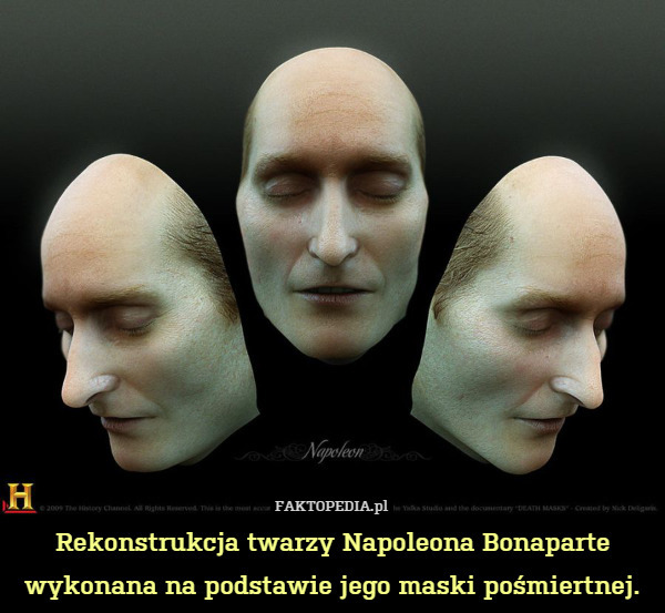 Rekonstrukcja twarzy Napoleona Bonaparte wykonana na podstawie jego maski pośmiertnej. 
